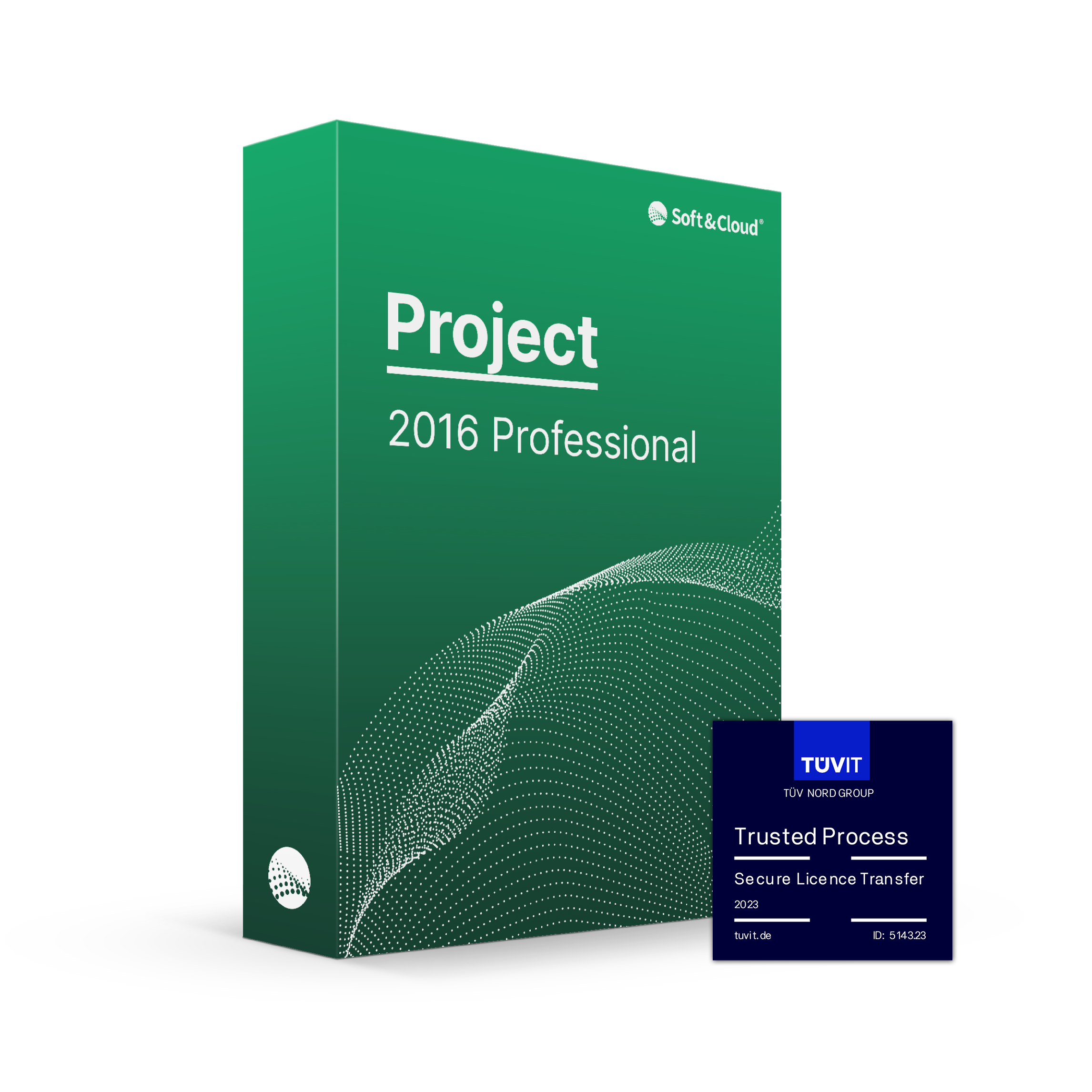 Project 2016 Professional TÜVIT