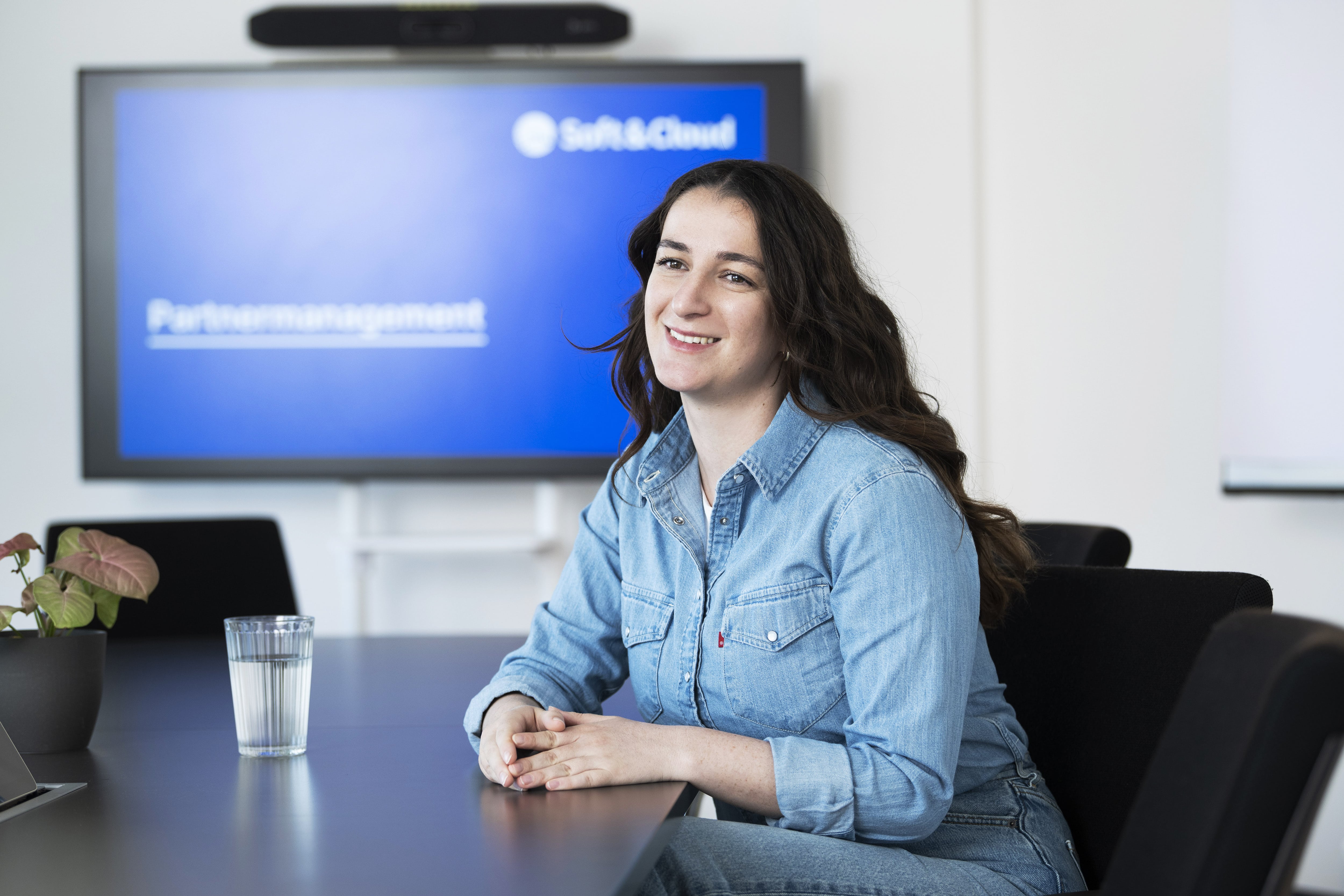 Italy SDR used Software