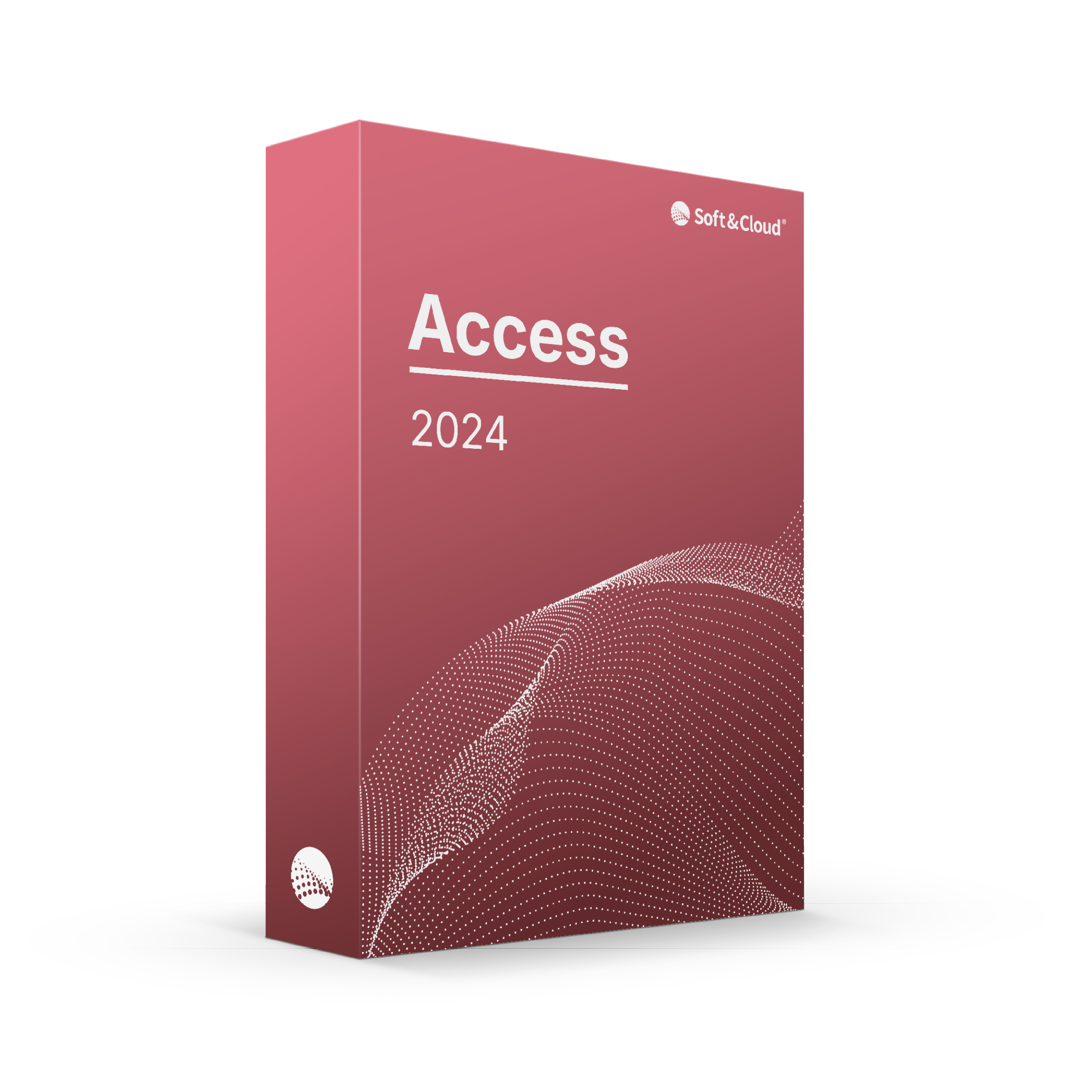 Microsoft Access 2024