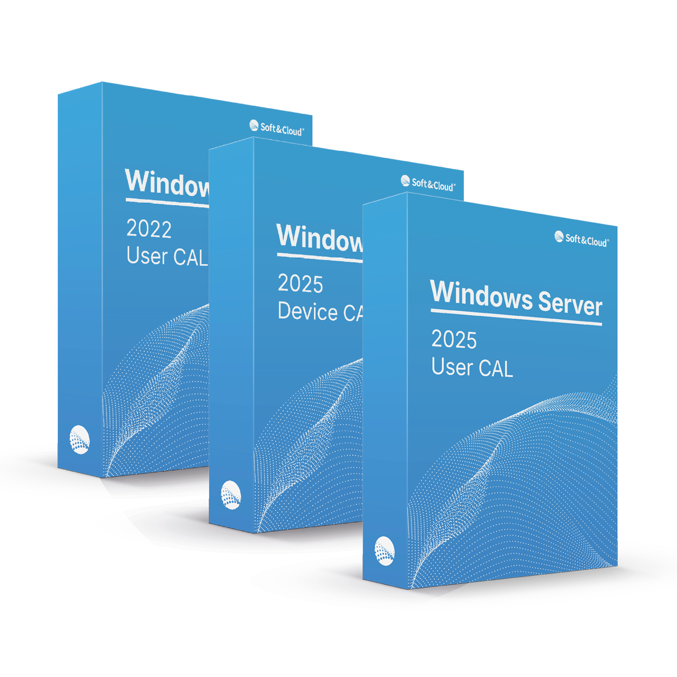 Microsoft Windows Server CAls