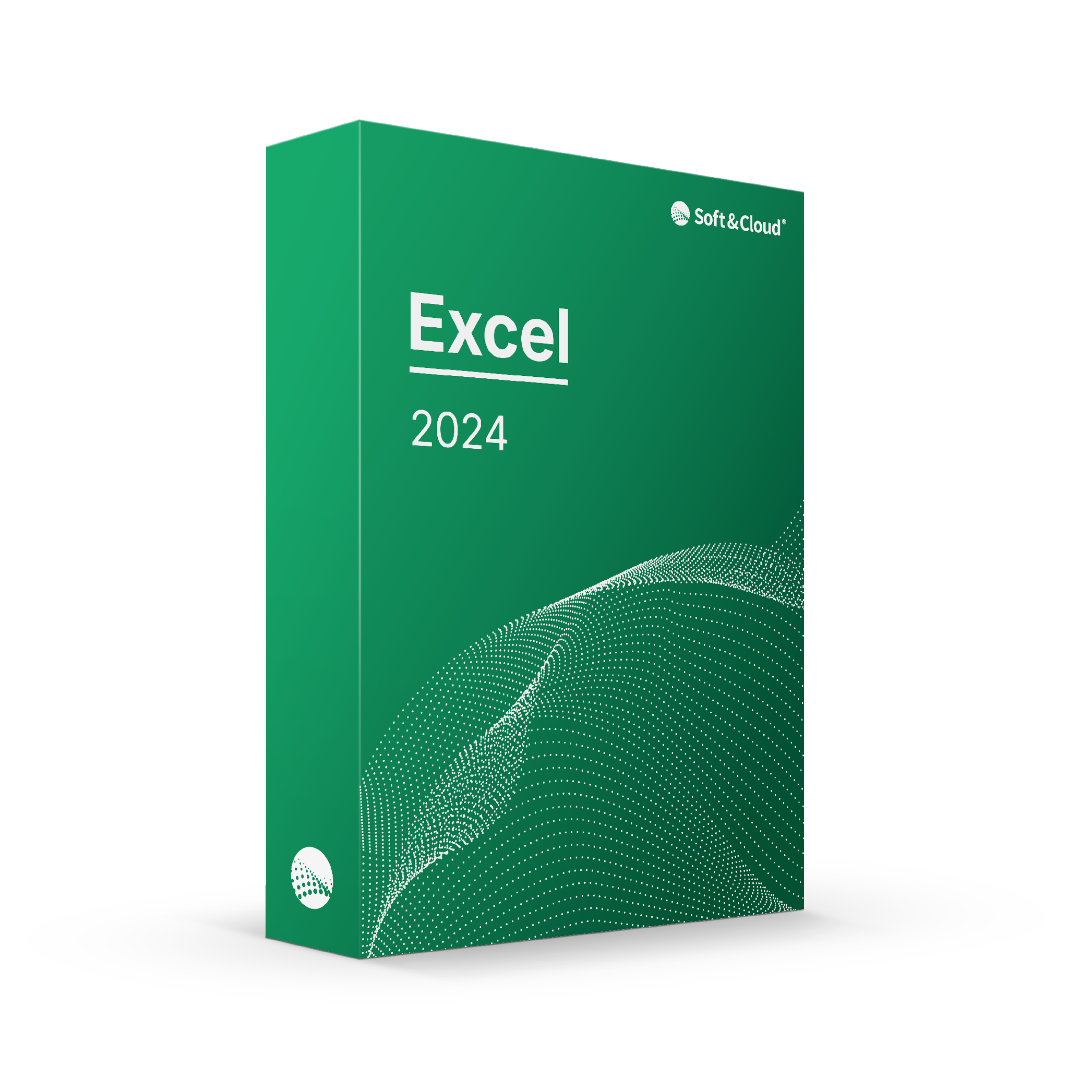 Microsoft Excel 2024